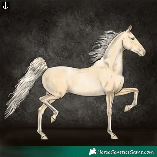 Horse Color:Palomino Pearl 