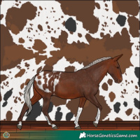 Horse Color:Silver Bay Tobiano Blanket 