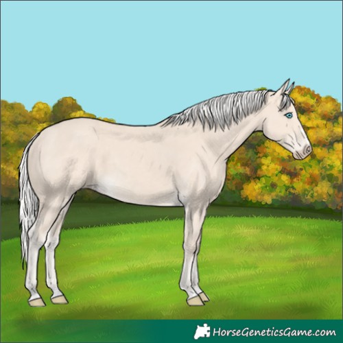 Horse Color:Silver Smoky Creme 