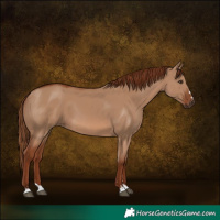 Horse Color:Red Dun