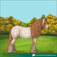 Horse Color:Red Roan 