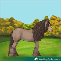 Horse Color:Classic Champagne 