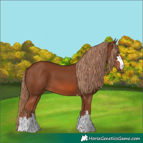 Horse Color:Chestnut 