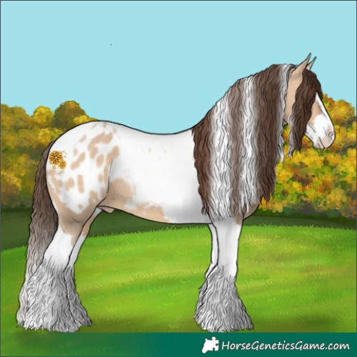 Horse Color:Bay Dun Splash Tobiano Appaloosa 