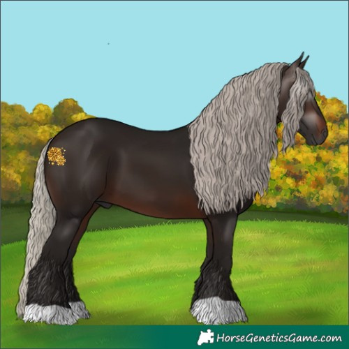 Horse Color:Gray Silver Brown 