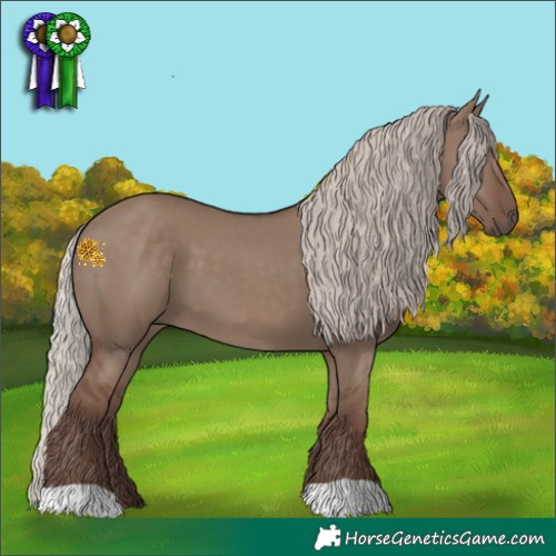 Horse Color:Silver Grullo 