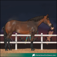 Horse Color:Bay 