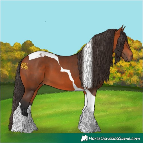 Horse Color:Bay Tobiano 