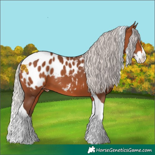 Horse Color:Silver Brown Splash Tobiano Near Leopard 
