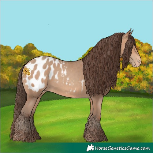 Horse Color:Amber Champagne Blanket 