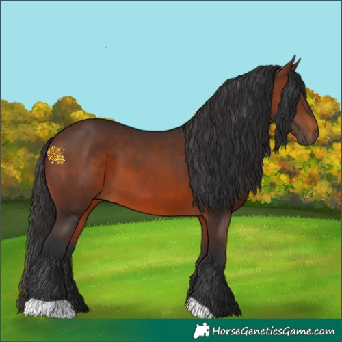 Horse Color:Brown 