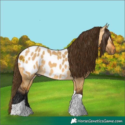 Horse Color:Gray Buckskin Dun Tobiano Near Leopard 