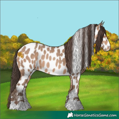 Horse Color:Sable Champagne Near Leopard 
