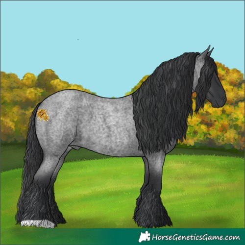 Horse Color:Blue Roan 