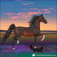 Horse Color:Brown Tobiano Rabicano