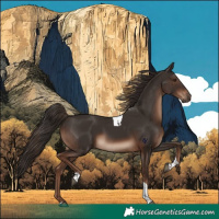 Horse Color:Liver Chestnut Tobiano Rabicano 