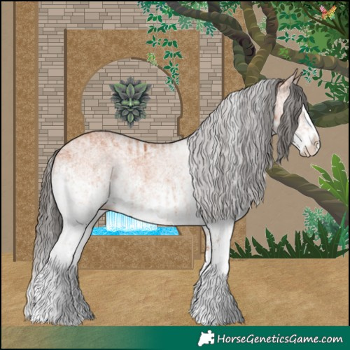 Horse Color:White Spotted Bay Splash  and White Spotted Bay Splash 