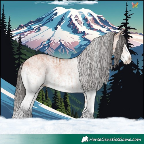Horse Color:White Spotted Bay Splash and White Spotted Bay Splash