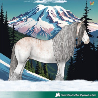 Horse Color:White Spotted Bay Splash  and White Spotted Bay Splash 