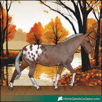 Horse Color:Silver Bay Tobiano Blanket 