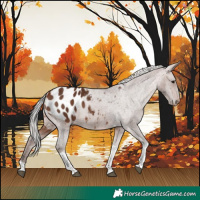 Horse Color:Silver Bay Tobiano Blanket 