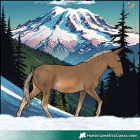 Horse Color:Chocolate Palomino 