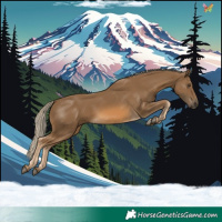 Horse Color:Chocolate Palomino 