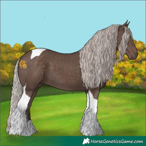 Horse Color:Silver Black Tobiano 