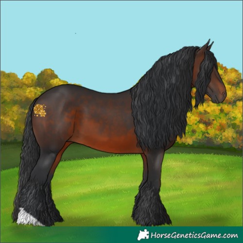 Horse Color:Brown 