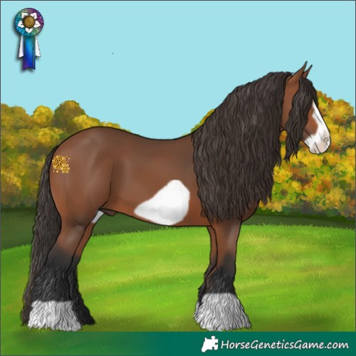 Horse Color:Bay Frame 