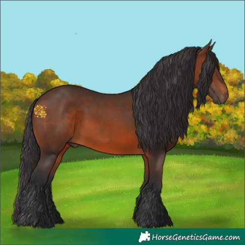 Horse Color:Brown 