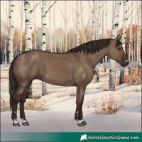 Horse Color:Liver Red Dun 
