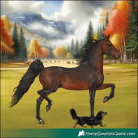 Horse Color:Bay Rabicano 