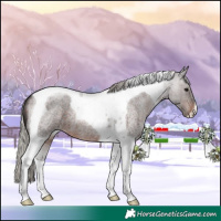 Horse Color:Silver Brown Roan Tobiano 