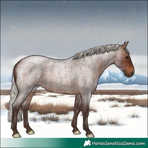 Horse Color:Silver Brown Roan 