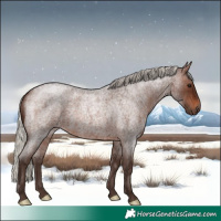 Horse Color:Silver Brown Roan 
