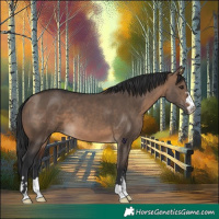 Horse Color:Brown Dun 