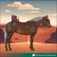 Horse Color:Silver Brown