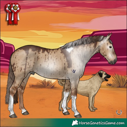 Horse Color:Gray Red Dun Tobiano Brindle 