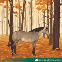 Horse Color:Buckskin Dun 