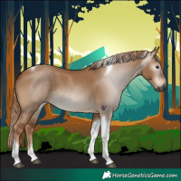 Horse Color:Gray Red Dun Tobiano 
