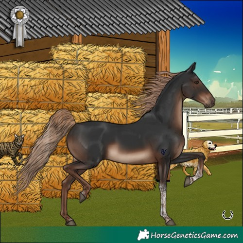 Horse Color:Liver Chestnut Tobiano Rabicano 