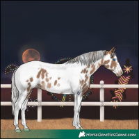 Horse Color:Silver Brown Dun Splash Tobiano Frame Near Leopard Rabicano 