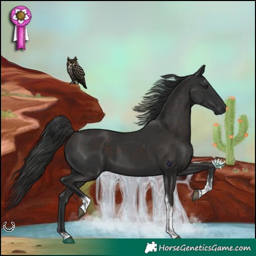 Horse Color:Liver Chestnut Tobiano Rabicano 