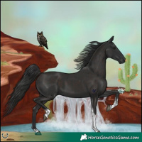 Horse Color:Liver Chestnut Tobiano Rabicano 