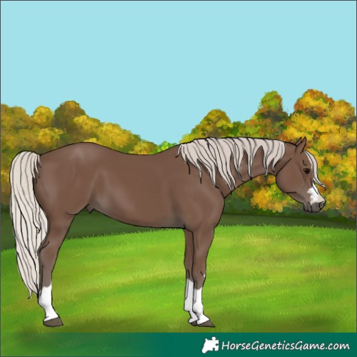 Horse Color:Silver Black 