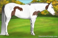 Horse Color:Bay Splash Tobiano