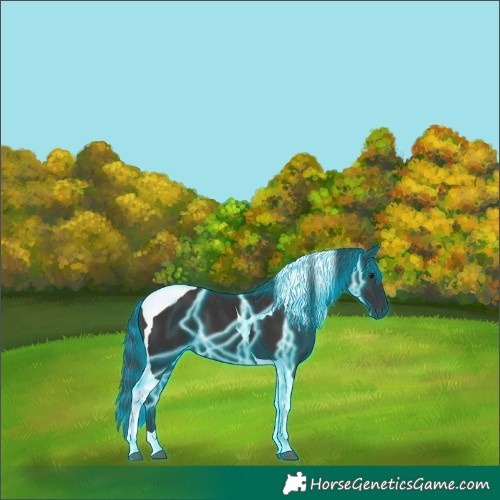 Horse Color:Thunderstruck Smoky Black Tobiano 