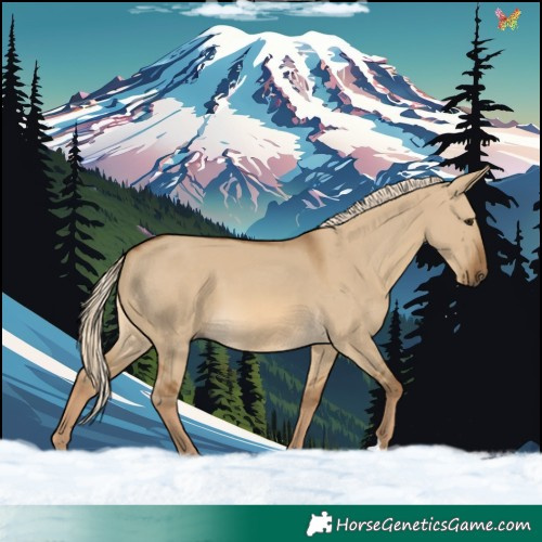 Horse Color:Chocolate Palomino Dun