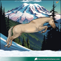 Horse Color:Chocolate Palomino Dun